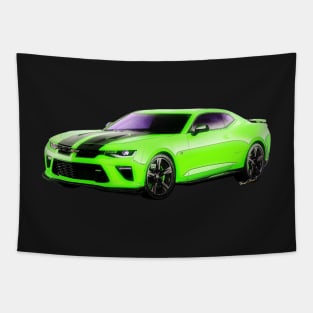 2016 Camaro Tapestry