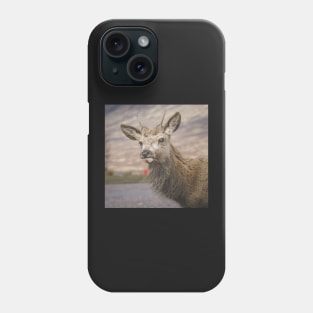 Scottish Highland Deer Phone Case