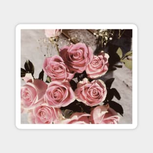 Pink Roses Magnet