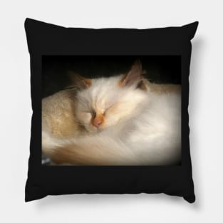 Dreaming Of Mice Perhaps? Pillow