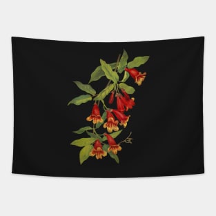 Crossvine - Bignonia capreolata - botanical illustration Tapestry