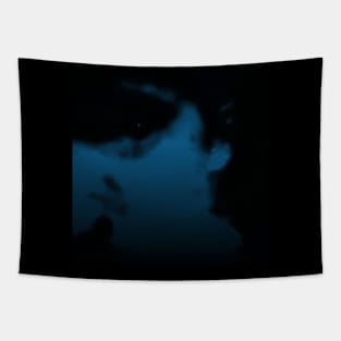 Portrait, digital collage and special processing. Face, man. Like from night dream. Looking on us. Dark and blue. Tapestry