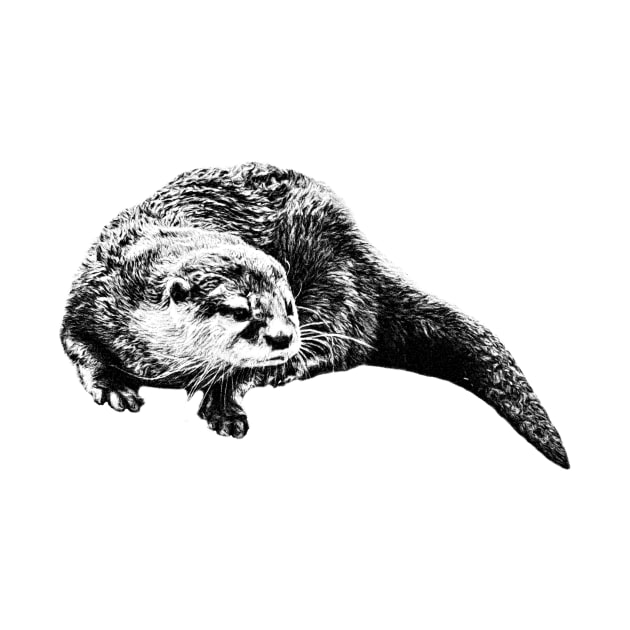 Otter by Guardi