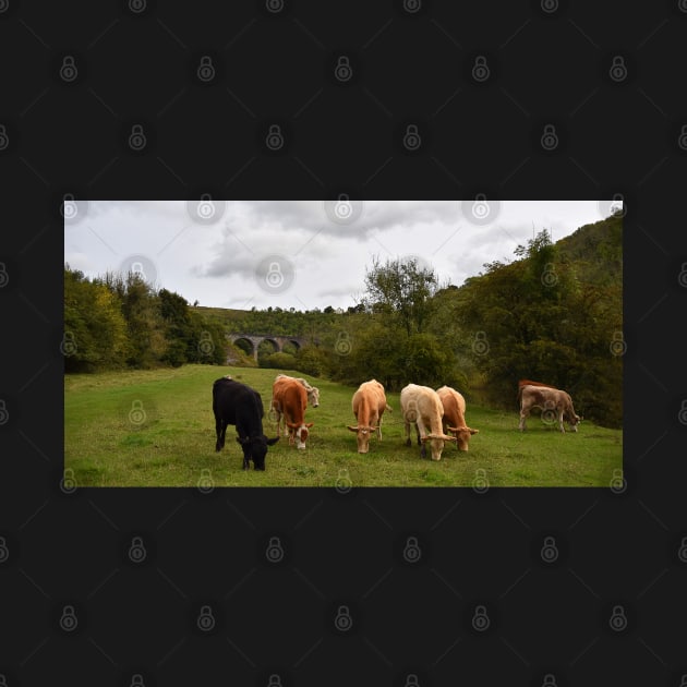 Headstone Viaduct  Monsal Dale by Graz-Photos