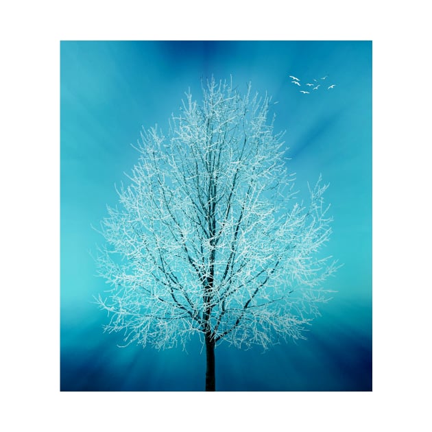 Winter Tree In Blue by JimDeFazioPhotography