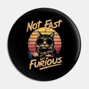 Not Almost Not Furious Lazy Relaxed Cat Pin