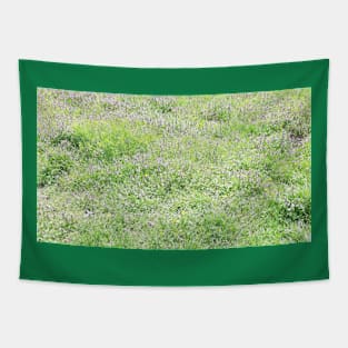 Spring grass, meadow, green nature photo Tapestry