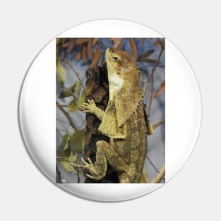 Frilled-neck Lizard Pin