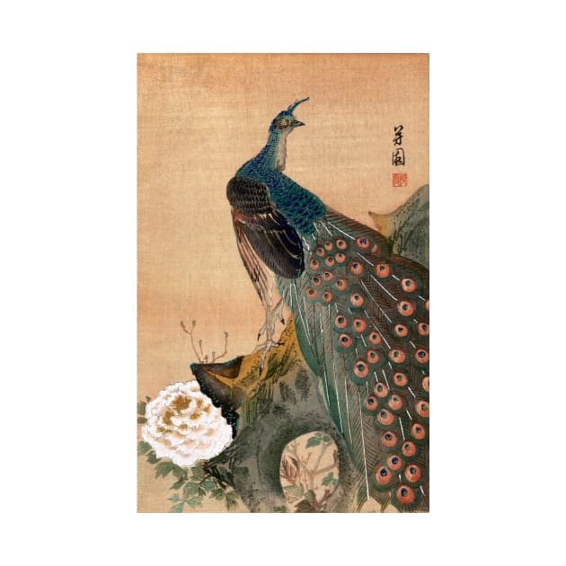 19th C. Japanese Peacock by historicimage