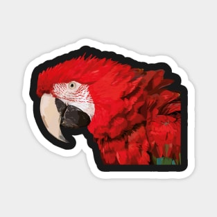 Green-winged Macaw (Ara chloropterus) Magnet