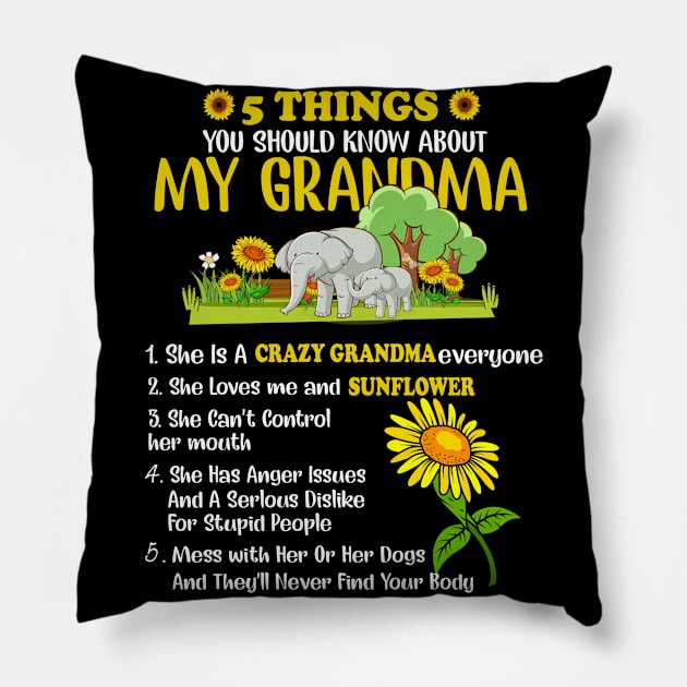 5 Things You Should Know About My Grandma Gifts Pillow by Gocnhotrongtoi