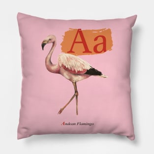 A is for Andean Flamingo Pillow