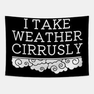 I Take Weather Cirrusly | Meteorology Graduation Tapestry