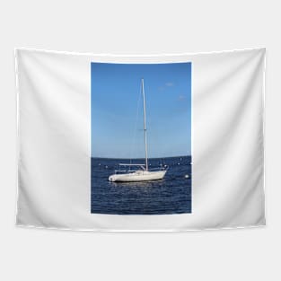 White And Blue Tapestry