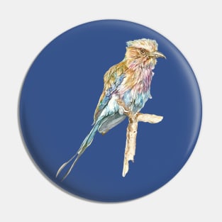 Lilac Crested Roller, Exotic African Bird Pin