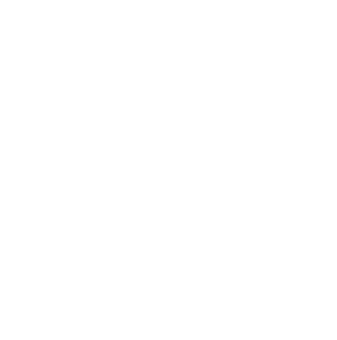 NEW ROCHELLE NY White City Seal Magnet