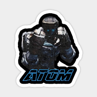 Real Atom Steel Magnet