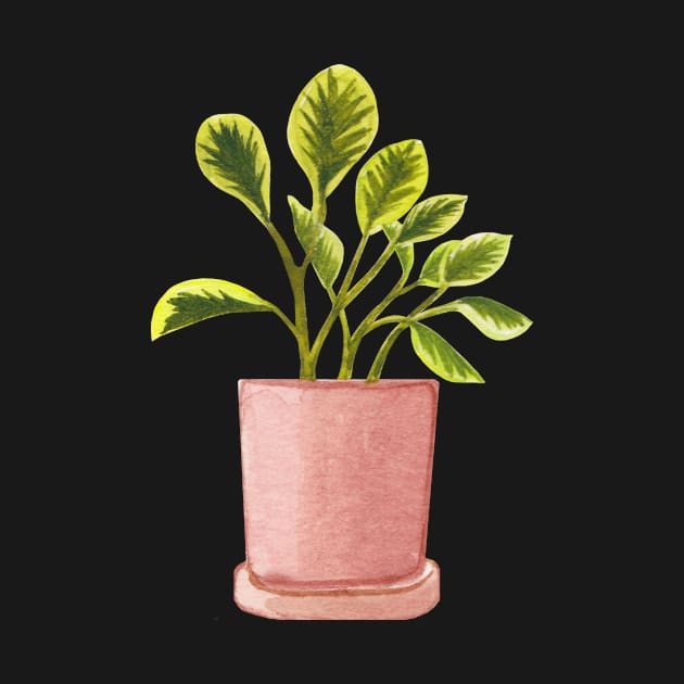 Golden Peperomia Obtusifolia Variegata/Marble Plant by CorgiButtDance