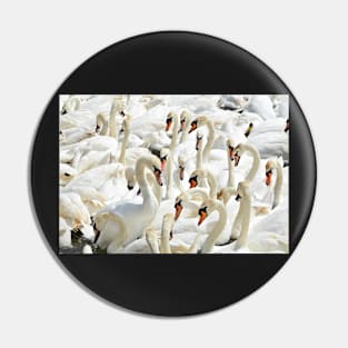 Swan Sea Pin