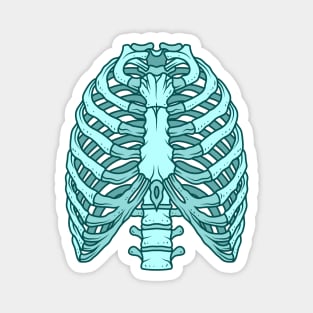 Rib Cage (Teal) Magnet