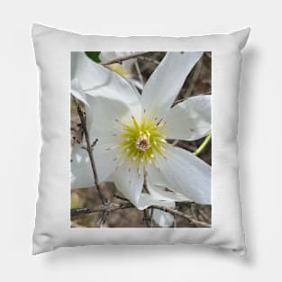 Clematis Pillow