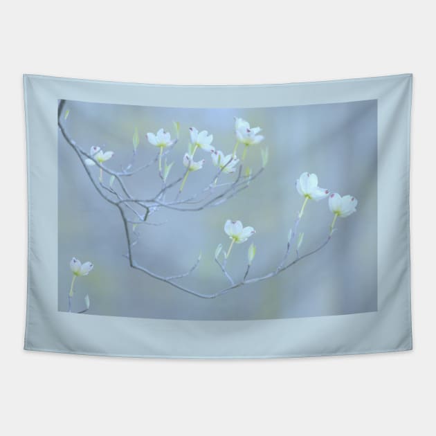 Dogwood Blossoms Tapestry by LaurieMinor