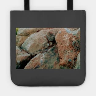 Rocks Tote