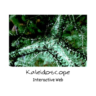 Kaleidoscope Diary Interactive Web T-Shirt