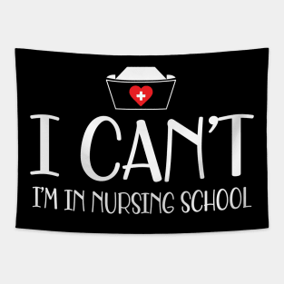 Nursing student - I can't I'm in nursing school w Tapestry