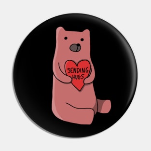 Sending Hugs Bear Pin