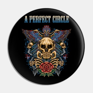 STORY CIRCLE AND PERFECT BAND Pin