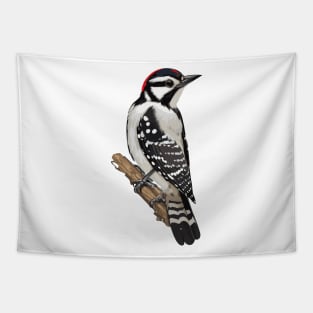 Downy Woodpecker Bird on a Tree Tapestry