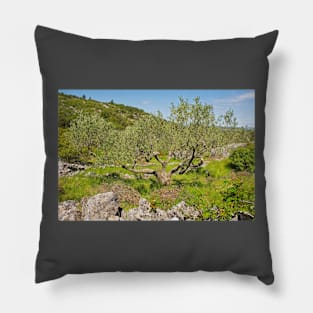 Landscape Near Nerezisca, Brac Island, Croatia Pillow