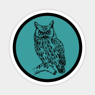 Halloween Owl, Portents, Omens, Signs, and Fortunes - Teal and Black Style Magnet