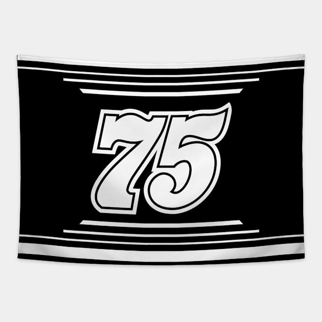 Stefan Parsons #75 2024 NASCAR Design Tapestry by AR Designs 