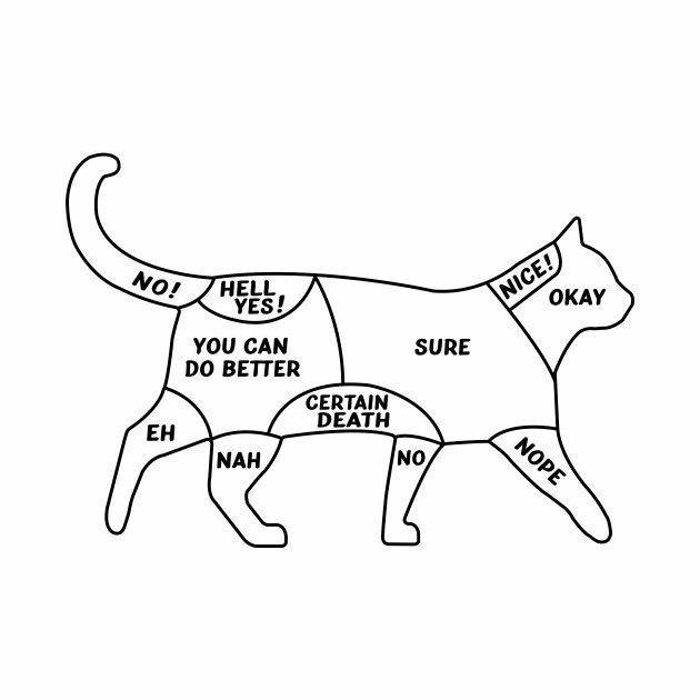 Cat Petting Guide For Cat Lovers Lovely Cats Baseball T