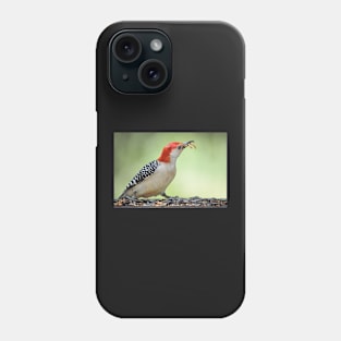 Flicker with mealworms Phone Case