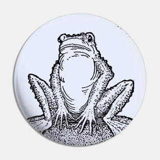 A Vintage Meadowcore Featuring a Cute Toad Under a Large Moon Pin