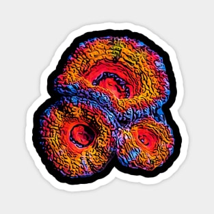 Aussie Lord Coral Art Magnet