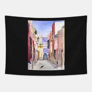 Calle en el Casco Antiguo, Almeria, Spain Tapestry