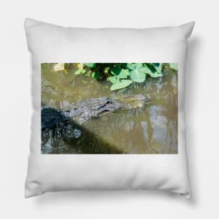 Alligator in wildlife preserve Pillow