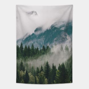 Vancouver Fog Tapestry