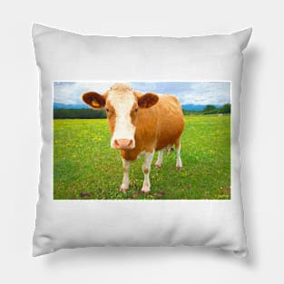 Cow Painitng Pillow