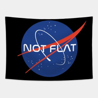 Not Flat Tapestry