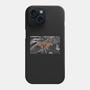 African Moth Phone Case