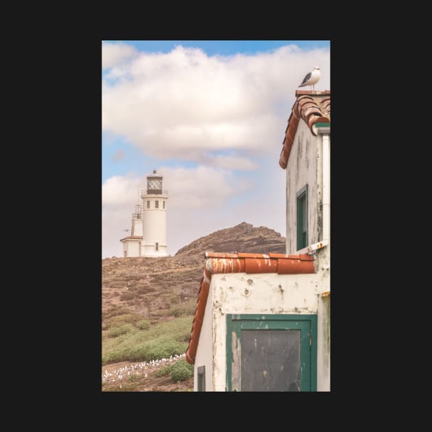 Channel Lighthouse by jvnimages