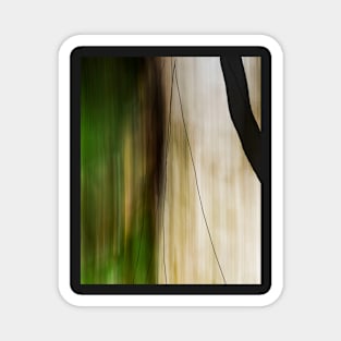 Forest, Water, Lines Abstract Magnet