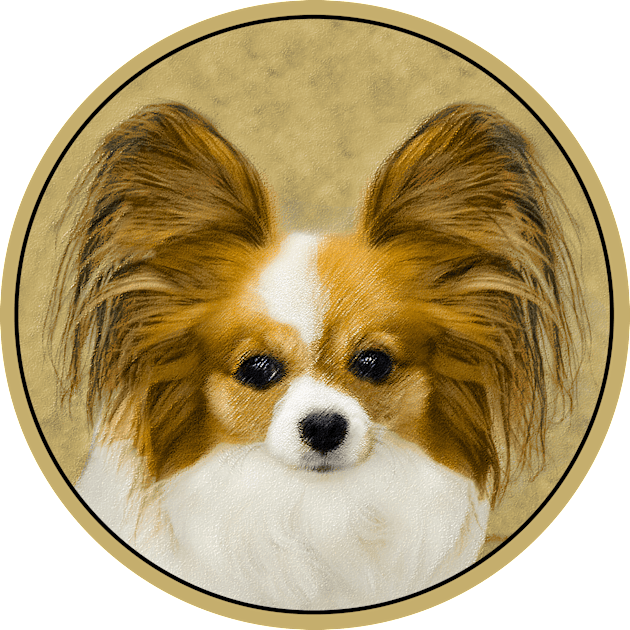 Papillon (Hound Tri) Kids T-Shirt by Alpen Designs