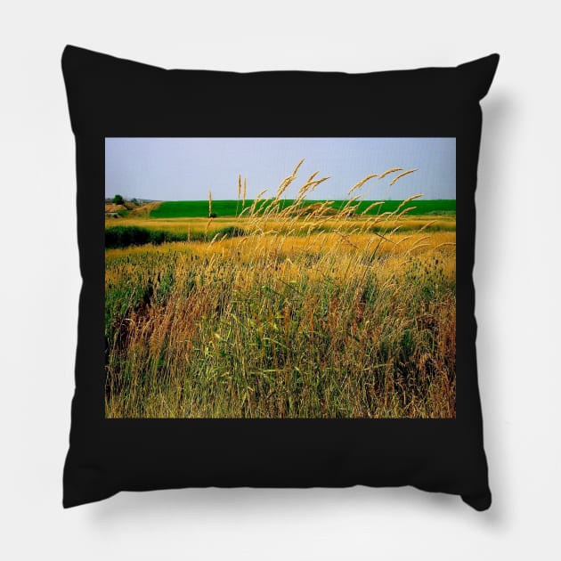 Tall Grasses Pillow by DANAROPER