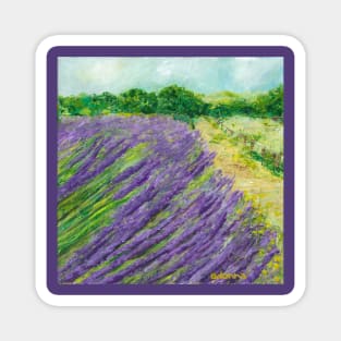 Lavender Field Magnet